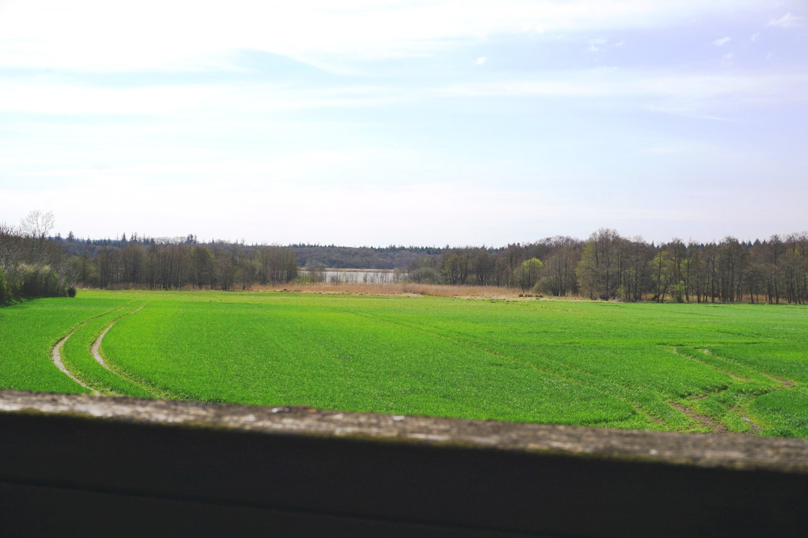 IN VORBEREITUNG! Reetdachhaus mit Seeblick in Feldrandlage