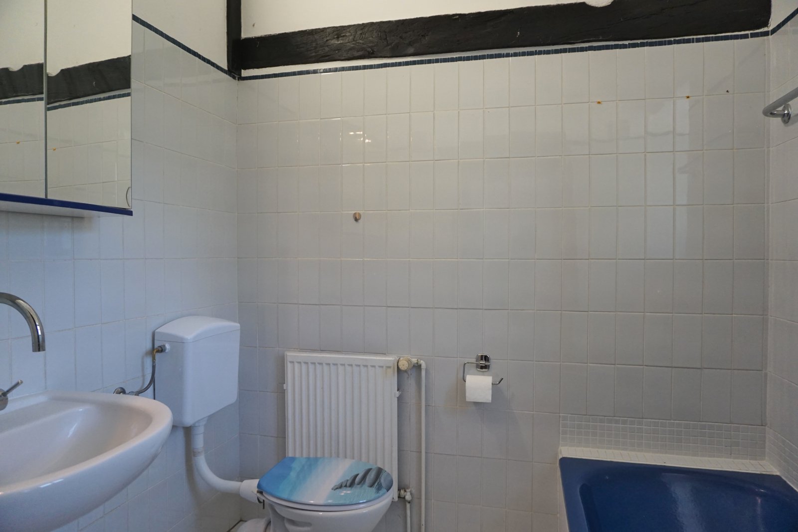 Reetdach-Fachwerkhaus mit Geschichte, Weitblick und viel Platz
