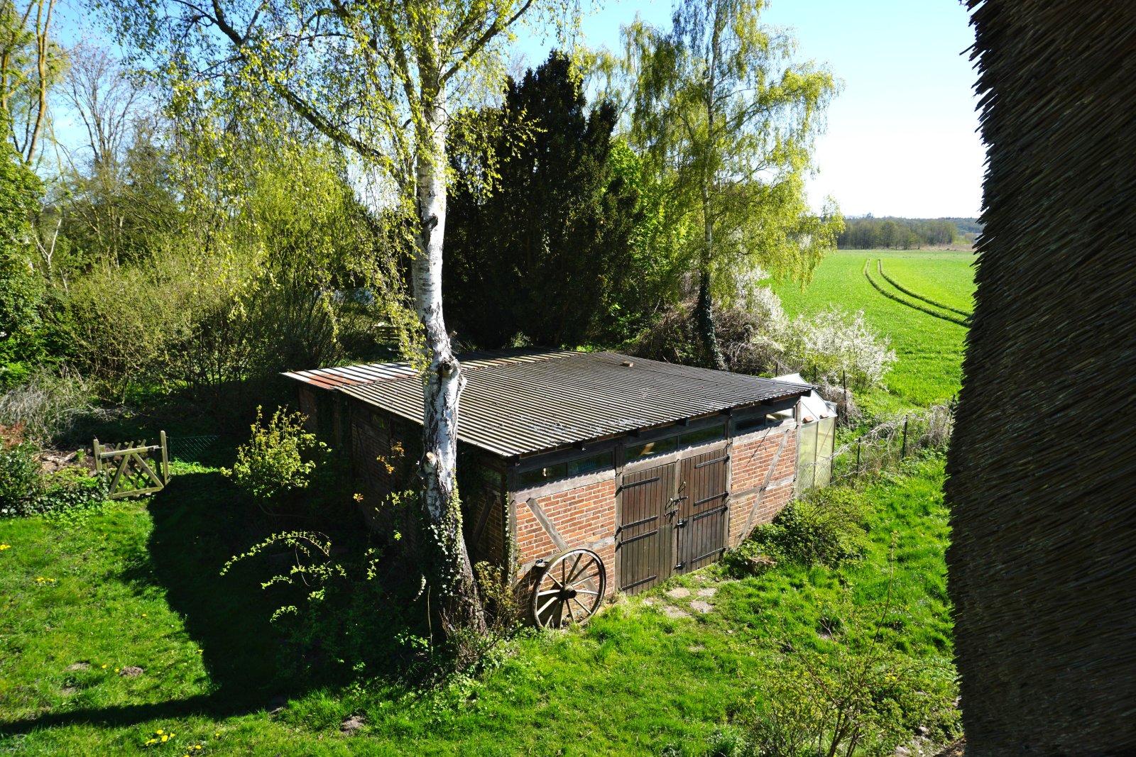 Reetdach-Fachwerkhaus mit Geschichte, Weitblick und viel Platz