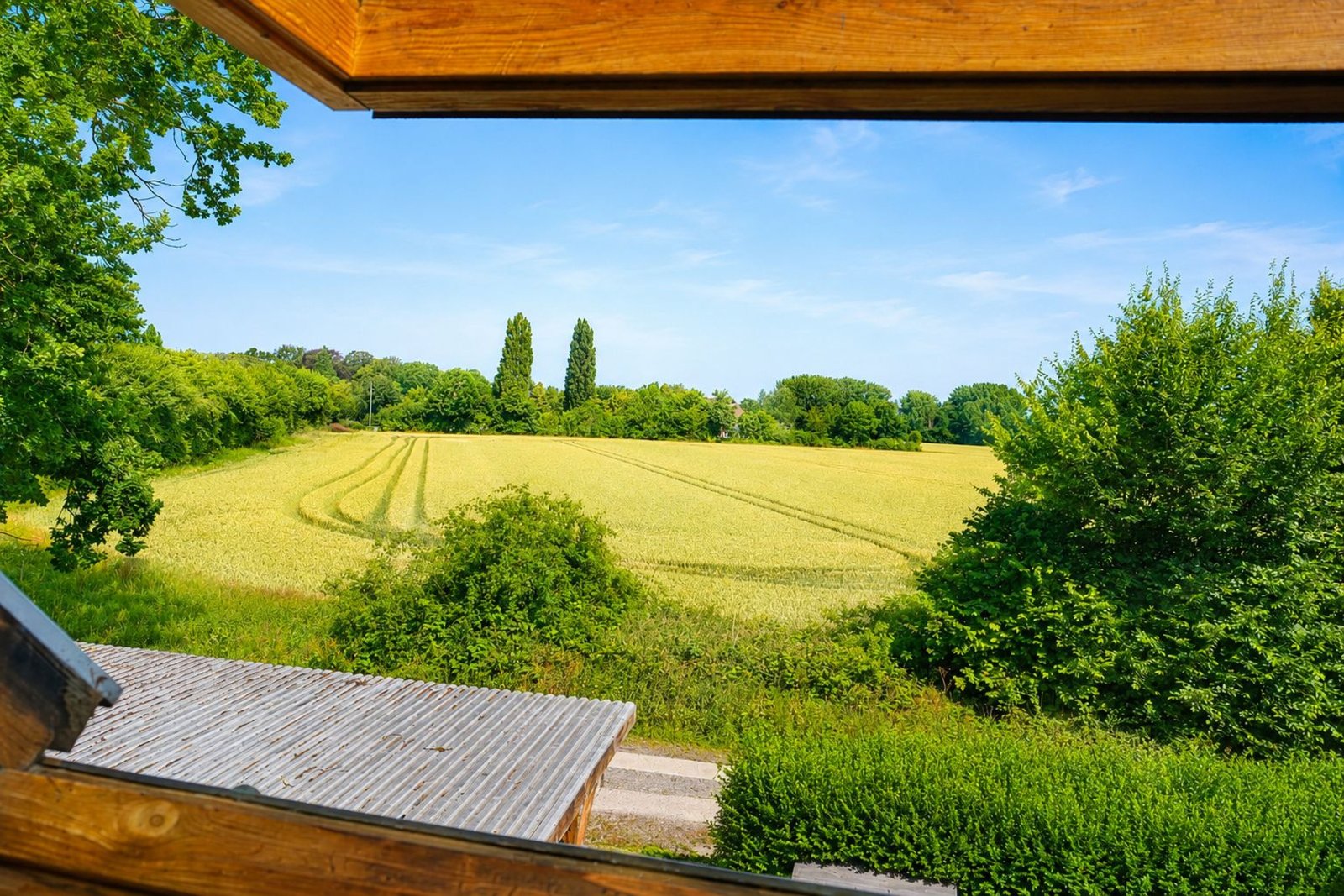 Schönberg/Ostsee – ruhige Feldrandlage, 4 WE + Schutzraum, viele Optionen
