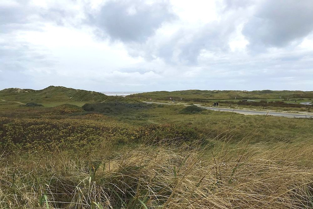 Dünenlandschaft Dünenlandschaft