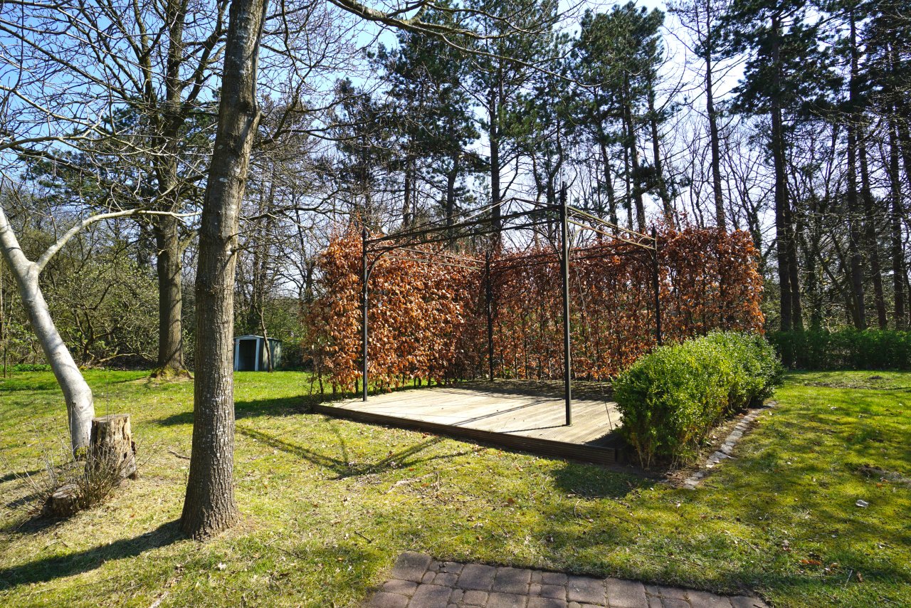 Garten(2)