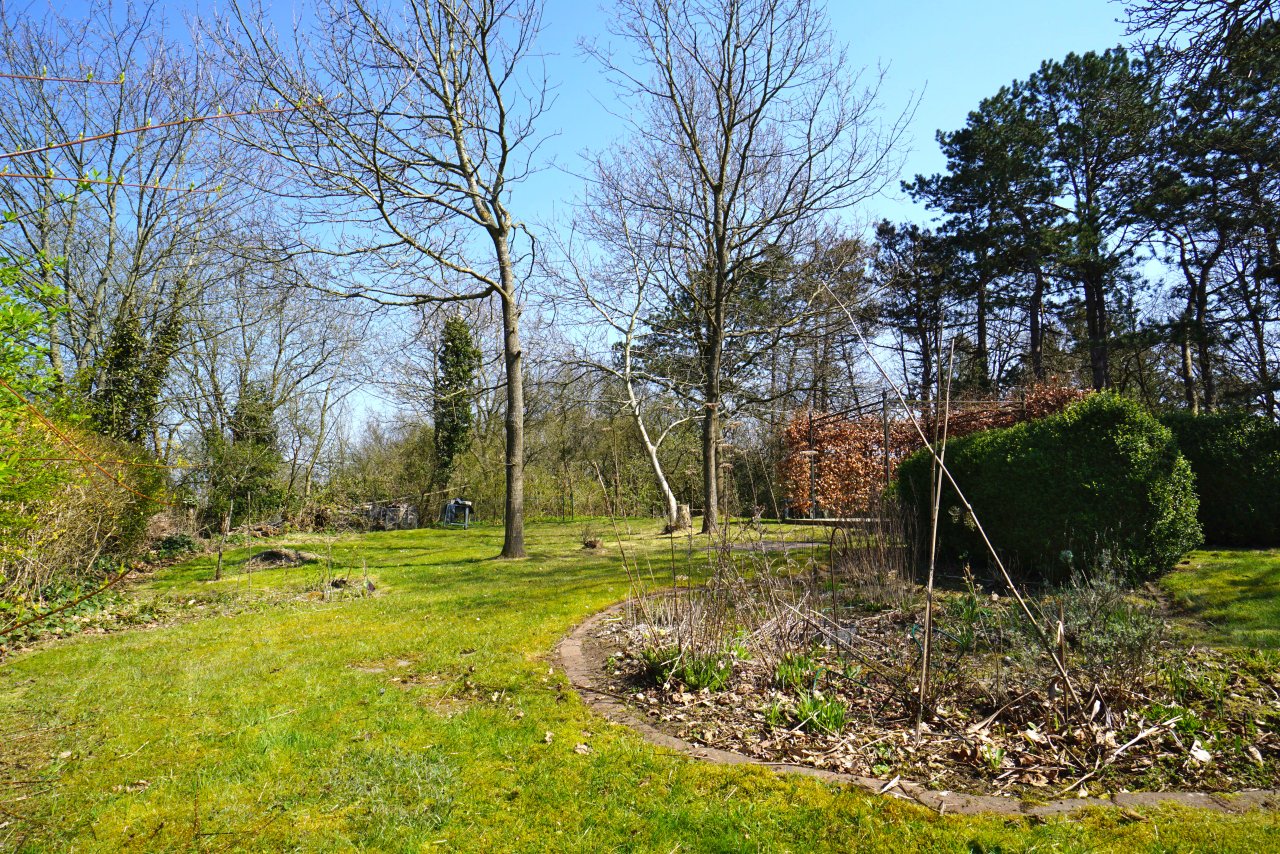 Garten(1)