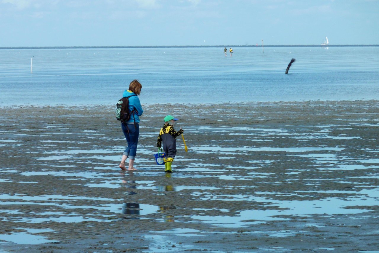 Wattenmeer Wattenmeer