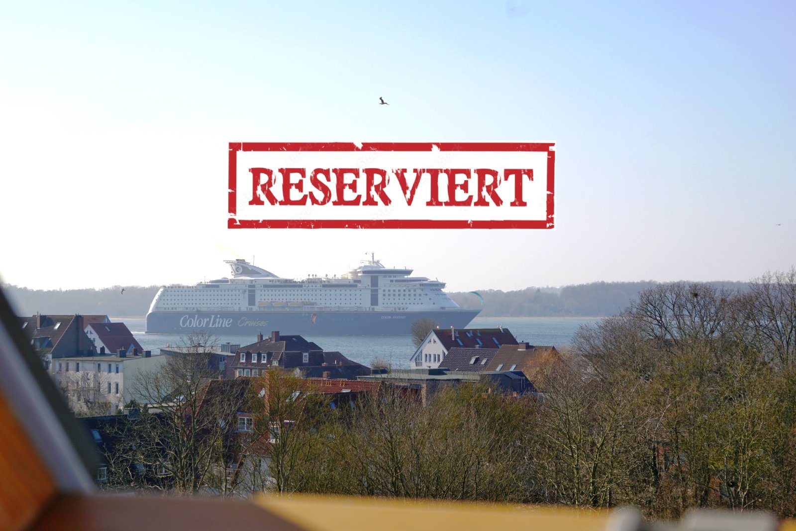 Blick Color Line reserviert Blick Color Line reserviert