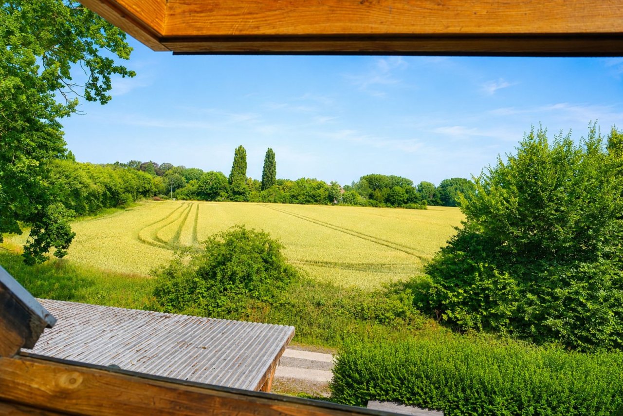 Ausblick OG